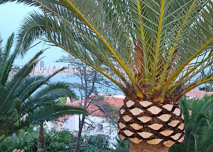 Casa Veintiuno En Calp